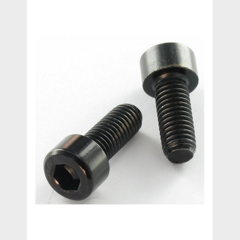 M2,5x20 (10 Stk)